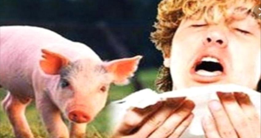 الصحة تكشف حقيقة وجود حالات مصابة بأنفلونزا الخنازير ب#شبـوة