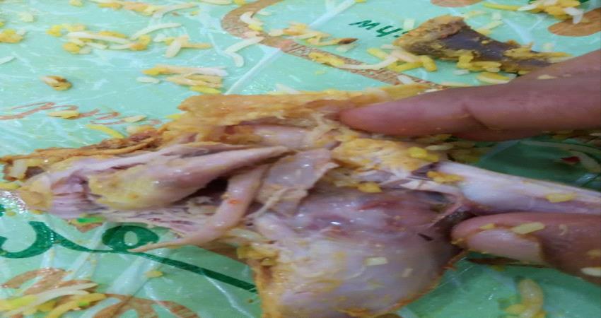 تحذير: دجاج فاسد في احد اكبر مطاعم عدن