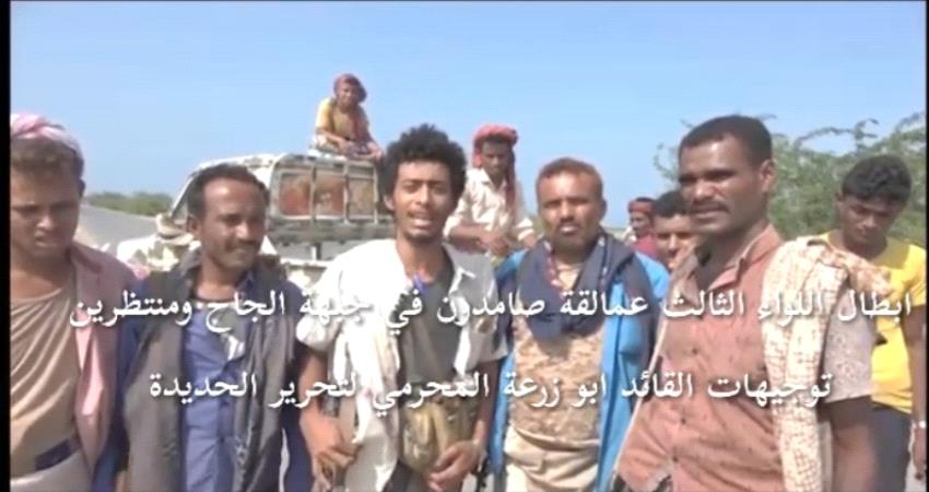 اللواء الثالث عمالقة بإنتظار توجيهات "المحرمي" لتحرير الحديدة