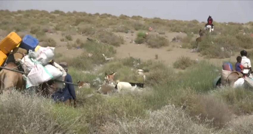 بالصورة.. نزوح عائلات من قرية النخيلة بالدريهمي هربا من قصف الحوثيين