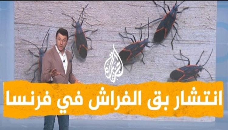 نغم يمني .. بالتزامن مع انتشار البق في باريس !! 