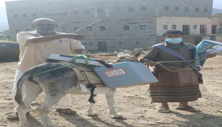 والحمار اخذ دوره ضد مرض الحصبة والحصبة الالمانية 