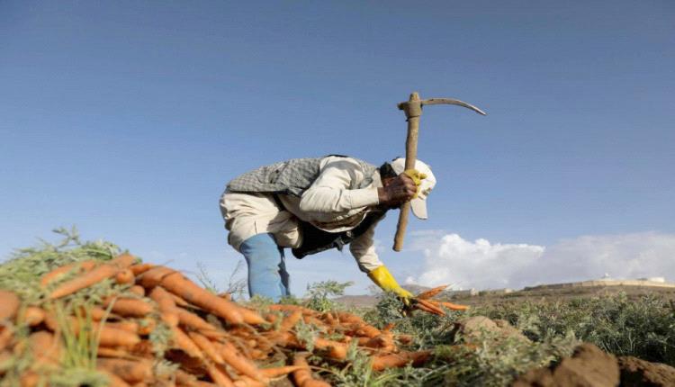 الحكومة تقرّ بتعثر التنمية في مناطق الشرعية
