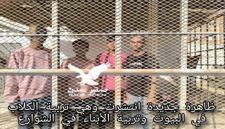 مصدر أمني يروي تفاصيل ضبط مجموعة وصفها بالعاهات واتخاذ إجراءات قانونية بحقهم